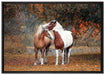 zwei schmusende Pferde auf Leinwandbild gerahmt Größe 100x70
