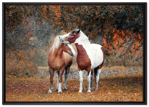 zwei schmusende Pferde auf Leinwandbild gerahmt Größe 100x70