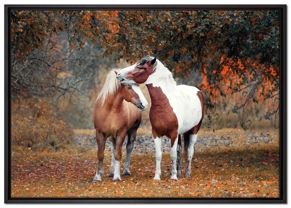 zwei schmusende Pferde auf Leinwandbild gerahmt Größe 100x70