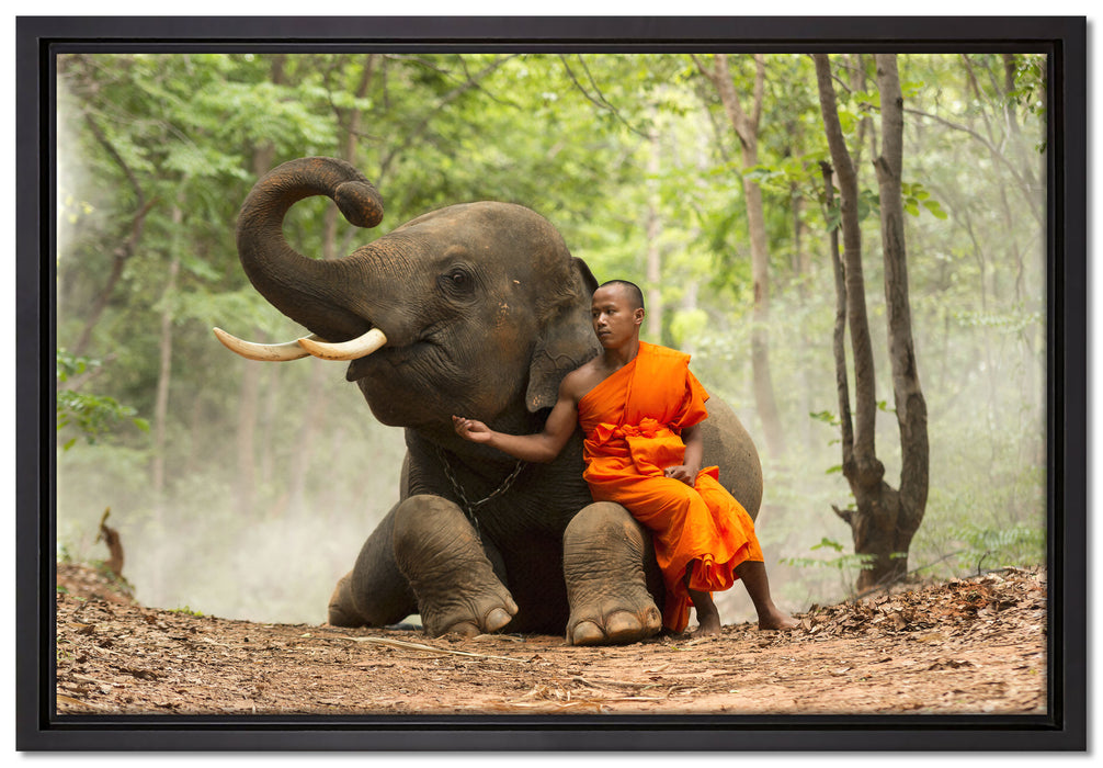 Mönch Elefanten Wald auf Leinwandbild gerahmt Größe 60x40