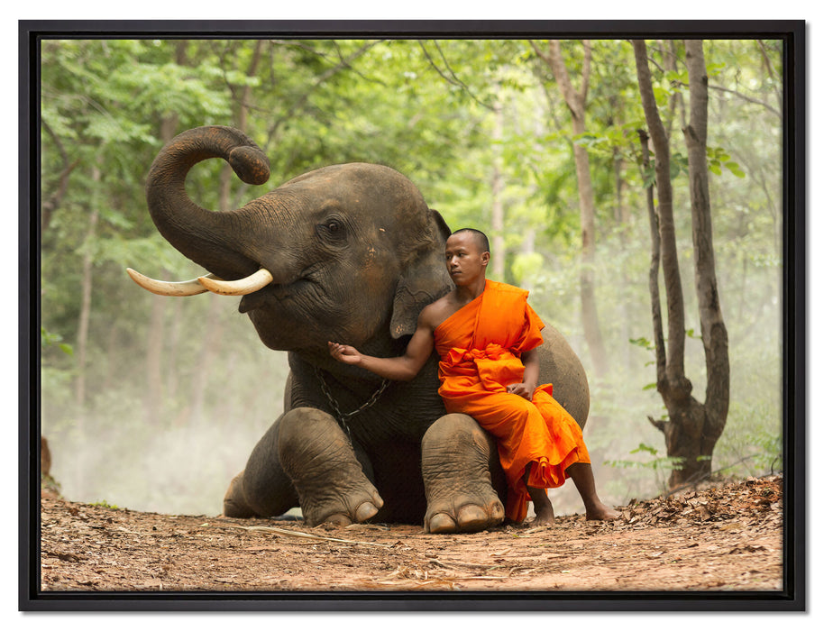 Mönch Elefanten Wald auf Leinwandbild gerahmt Größe 80x60