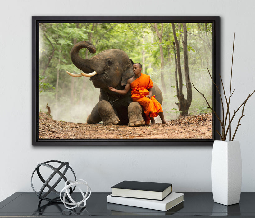 Mönch Elefanten Wald auf Leinwandbild gerahmt mit Kirschblüten