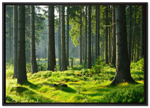sonniger Tag im Wald auf Leinwandbild gerahmt Größe 100x70