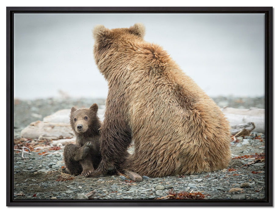 Bär mit Baby nach dem Baden auf Leinwandbild gerahmt Größe 80x60