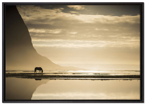 Pferd am Ufer einer Insel auf Leinwandbild gerahmt Größe 100x70