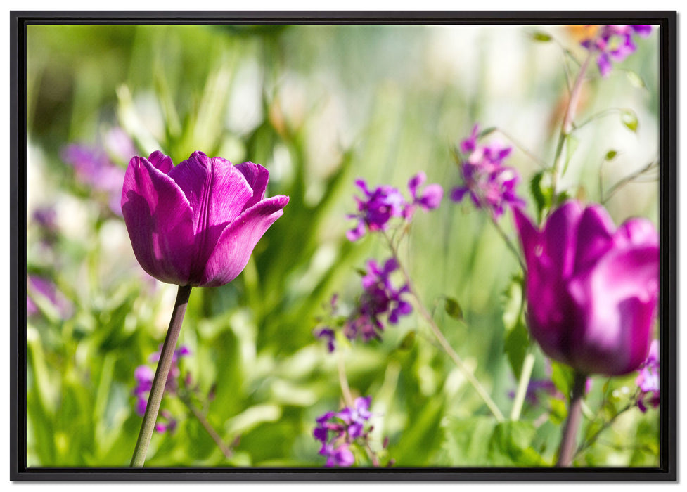 Blumen im Sonnenschein auf Leinwandbild gerahmt Größe 100x70