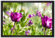 Blumen im Sonnenschein auf Leinwandbild gerahmt Größe 60x40