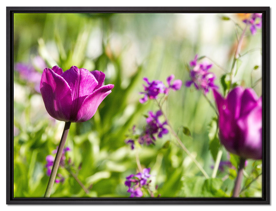 Blumen im Sonnenschein auf Leinwandbild gerahmt Größe 80x60