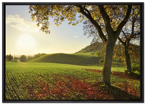 Landschaft im Herbst auf Leinwandbild gerahmt Größe 100x70