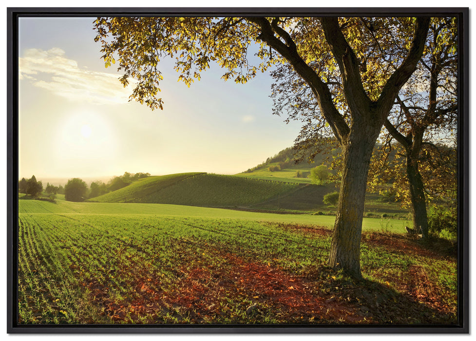 Landschaft im Herbst auf Leinwandbild gerahmt Größe 100x70