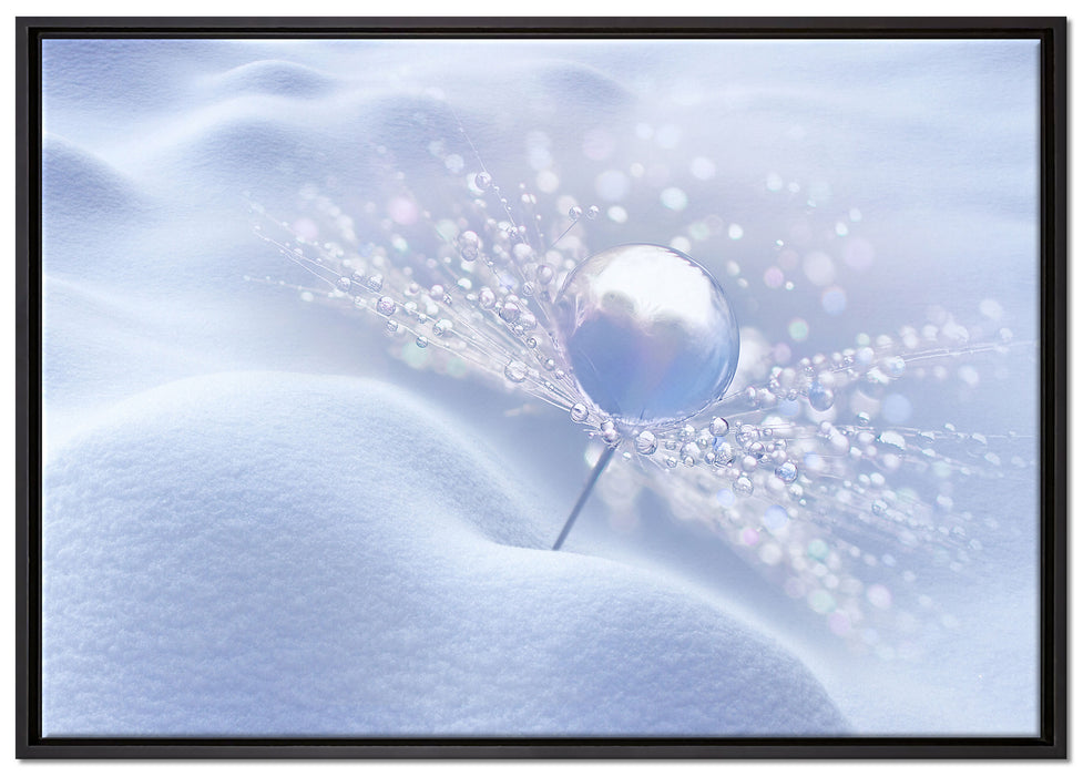 Tautropfen auf Pusteblume auf Leinwandbild gerahmt Größe 100x70