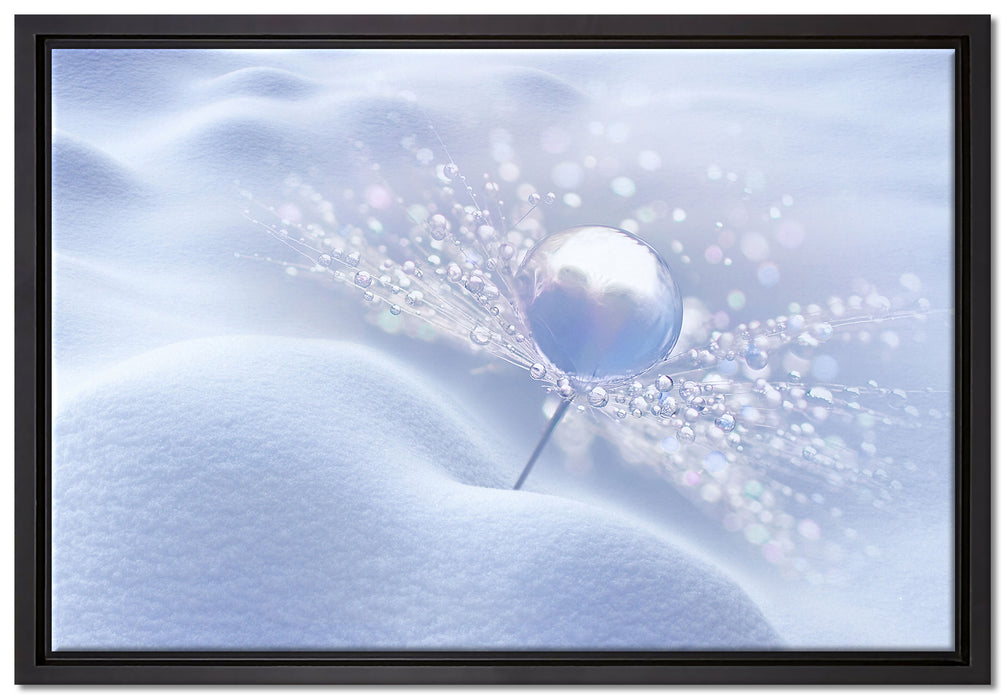 Tautropfen auf Pusteblume auf Leinwandbild gerahmt Größe 60x40