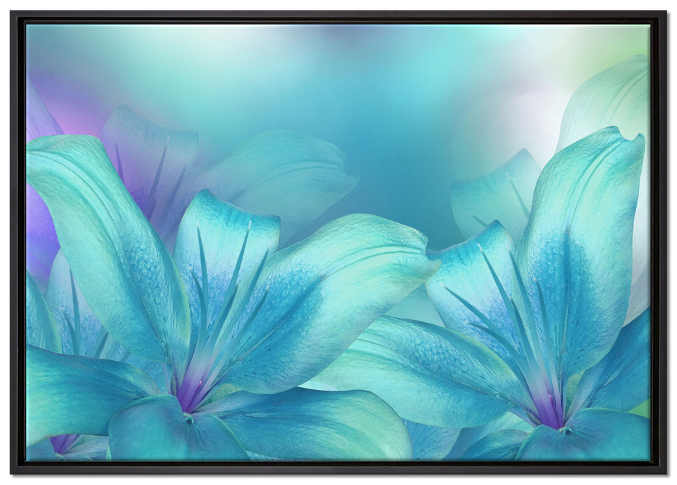 türkise Lilien auf Leinwandbild gerahmt Größe 100x70