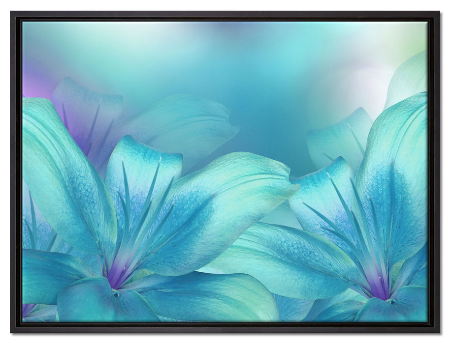 türkise Lilien auf Leinwandbild gerahmt Größe 80x60