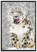 Leopard im Schnee auf Leinwandbild gerahmt Größe 100x70