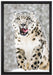 Leopard im Schnee auf Leinwandbild gerahmt Größe 60x40