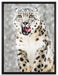 Leopard im Schnee auf Leinwandbild gerahmt Größe 80x60