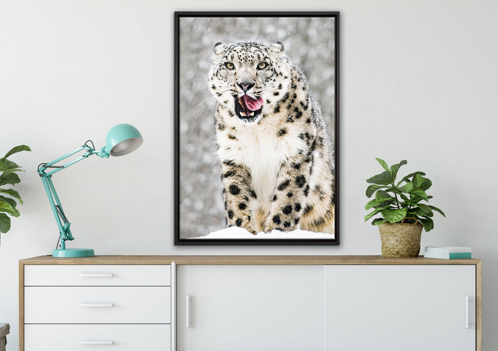 Leopard im Schnee auf Leinwandbild gerahmt verschiedene Größen im Wohnzimmer