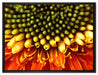 Nahaufnahme einer Gerbera auf Leinwandbild gerahmt Größe 80x60