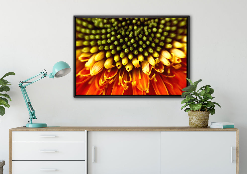 Nahaufnahme einer Gerbera auf Leinwandbild gerahmt verschiedene Größen im Wohnzimmer