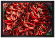 Tomaten Olivenöl Kräuter auf Leinwandbild gerahmt Größe 60x40