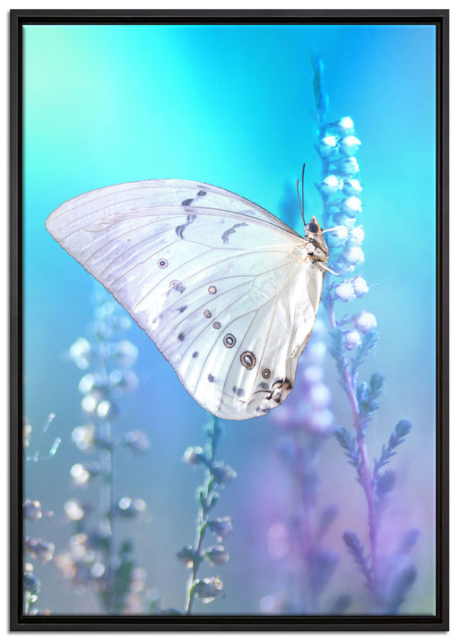 Schmetterling auf Blütenknospen auf Leinwandbild gerahmt Größe 100x70