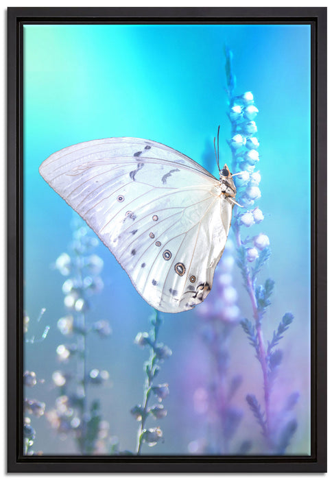 Schmetterling auf Blütenknospen auf Leinwandbild gerahmt Größe 60x40