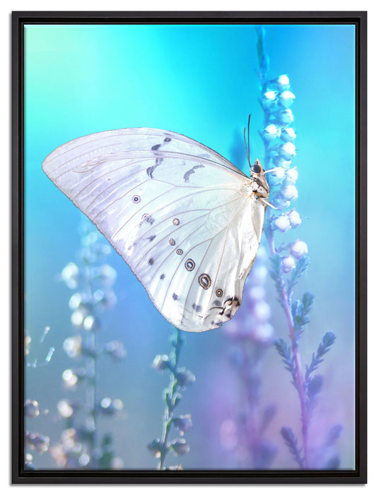Schmetterling auf Blütenknospen auf Leinwandbild gerahmt Größe 80x60