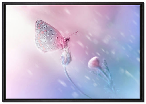 Schmetterling auf Blütenknospen auf Leinwandbild gerahmt Größe 100x70