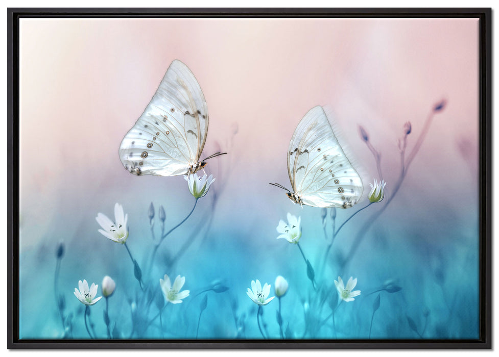 Schmetterling auf kleinen Blumen auf Leinwandbild gerahmt Größe 100x70