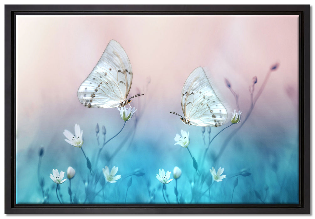 Schmetterling auf kleinen Blumen auf Leinwandbild gerahmt Größe 60x40