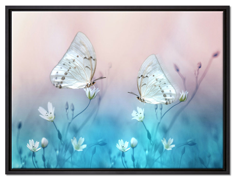 Schmetterling auf kleinen Blumen auf Leinwandbild gerahmt Größe 80x60