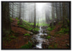 Bach im Wald auf Leinwandbild gerahmt Größe 100x70