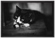 Katze spielt mit Ehering auf Leinwandbild gerahmt Größe 60x40