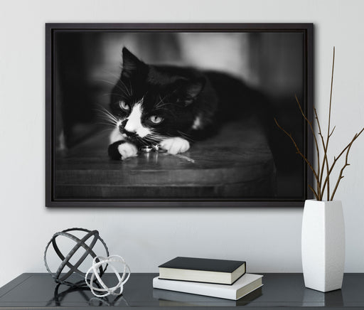 Katze spielt mit Ehering auf Leinwandbild gerahmt mit Kirschblüten