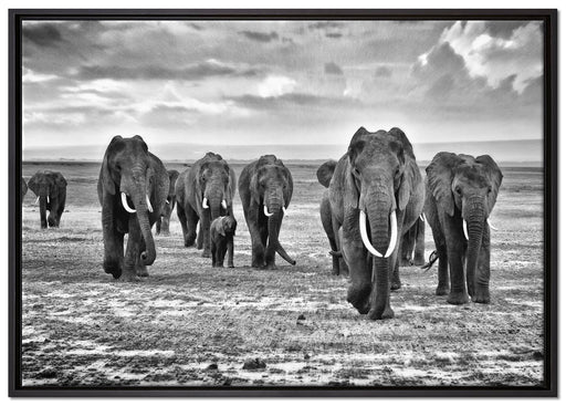 Elefanten Familie in der Savanne auf Leinwandbild gerahmt Größe 100x70