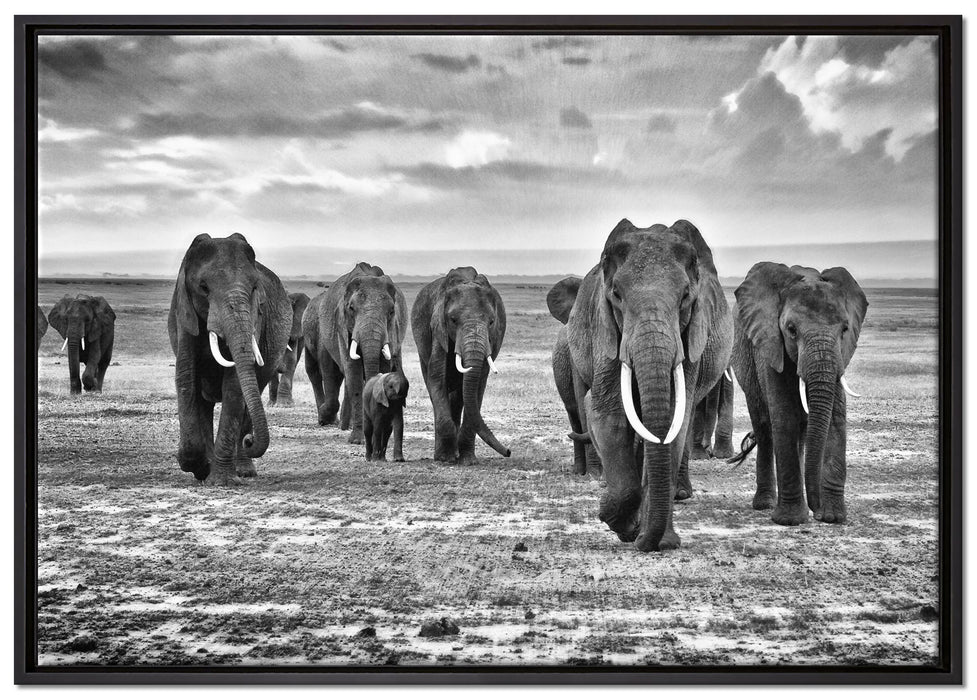 Elefanten Familie in der Savanne auf Leinwandbild gerahmt Größe 100x70