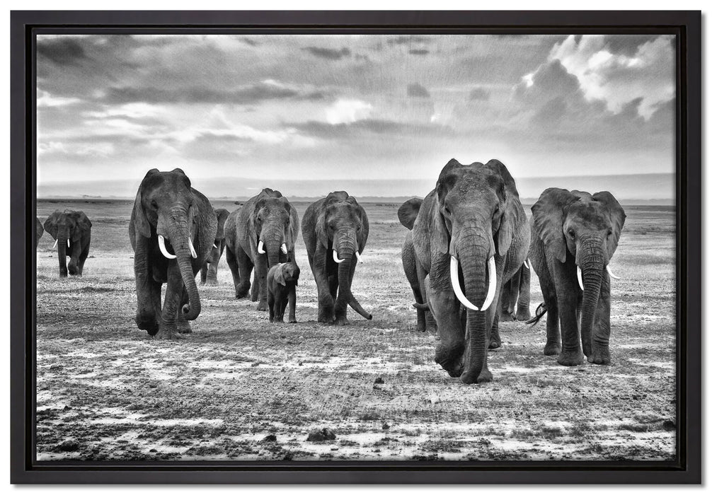 Elefanten Familie in der Savanne auf Leinwandbild gerahmt Größe 60x40
