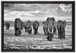 Elefanten Familie in der Savanne auf Leinwandbild gerahmt Größe 60x40