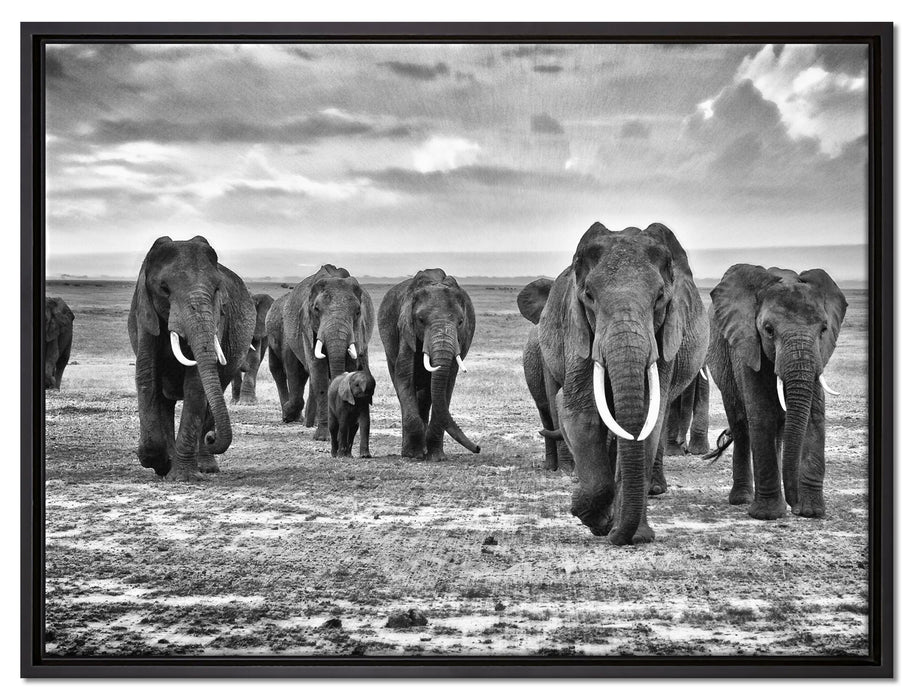 Elefanten Familie in der Savanne auf Leinwandbild gerahmt Größe 80x60