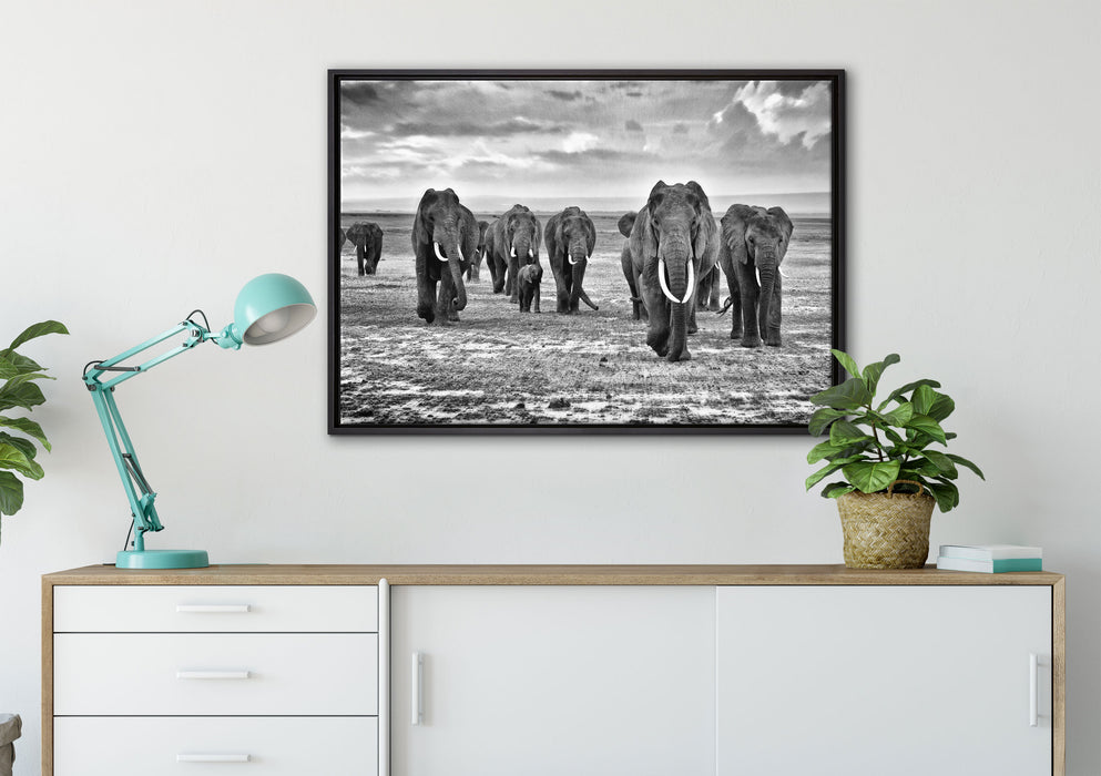 Elefanten Familie in der Savanne auf Leinwandbild gerahmt verschiedene Größen im Wohnzimmer