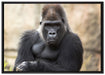 gelangweilter Gorilla auf Leinwandbild gerahmt Größe 100x70