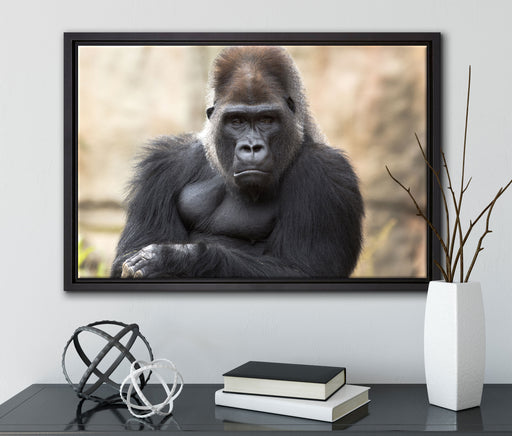 gelangweilter Gorilla auf Leinwandbild gerahmt mit Kirschblüten