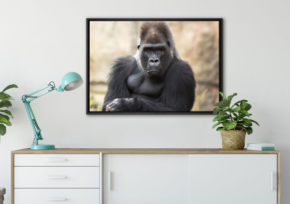 gelangweilter Gorilla auf Leinwandbild gerahmt verschiedene Größen im Wohnzimmer