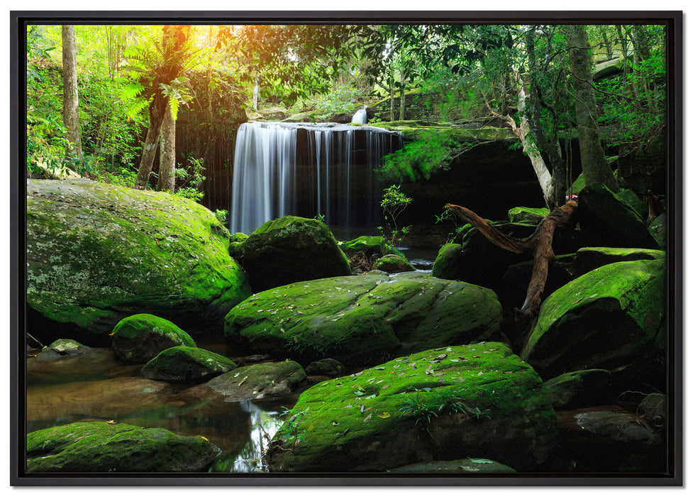 Regenwald in Thailand auf Leinwandbild gerahmt Größe 100x70