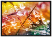 Spinnennetz mit Wassertropfen auf Leinwandbild gerahmt Größe 100x70