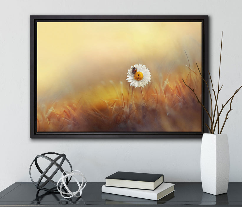 Gänseblümchen mit Marienkäfer auf Leinwandbild gerahmt mit Kirschblüten