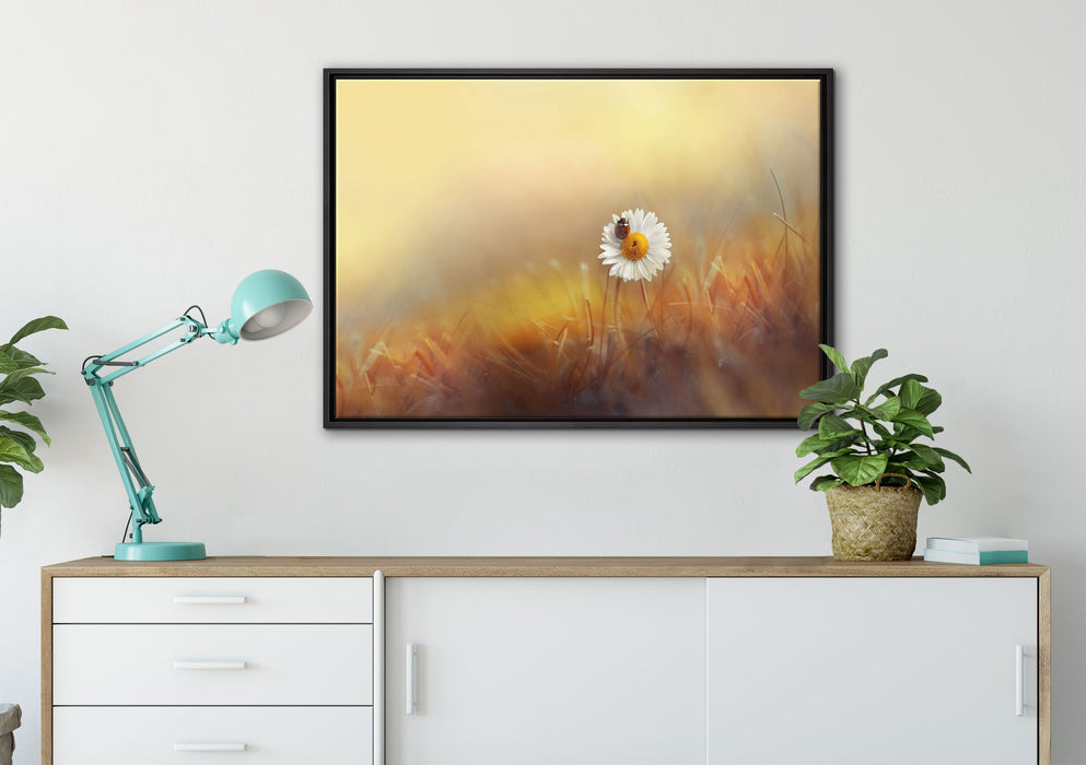 Gänseblümchen mit Marienkäfer auf Leinwandbild gerahmt verschiedene Größen im Wohnzimmer