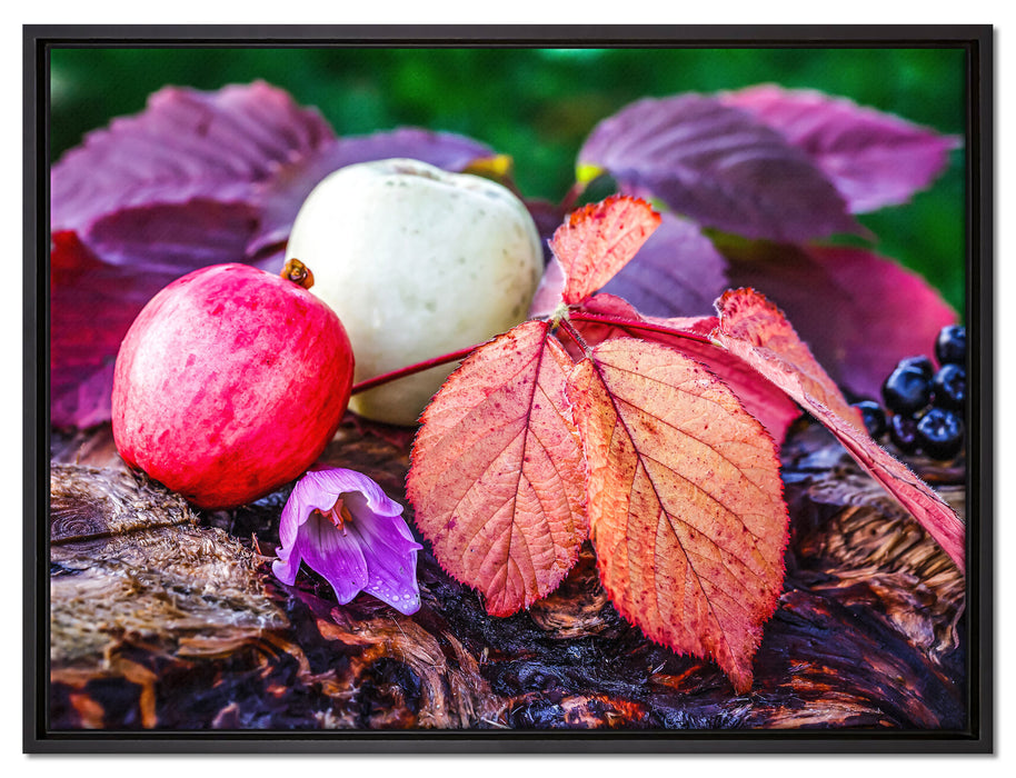 Äpfel und Blätter im Herbst auf Leinwandbild gerahmt Größe 80x60
