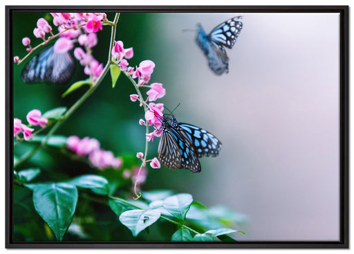 Schmetterlinge auf rosa Blumen auf Leinwandbild gerahmt Größe 100x70